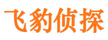 安乡市婚外情调查